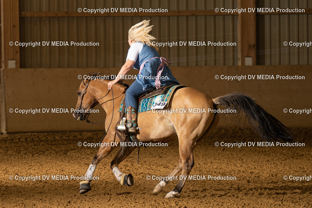 LAU01117 | dv-media-shop - Realisiert mit Pictrs.com