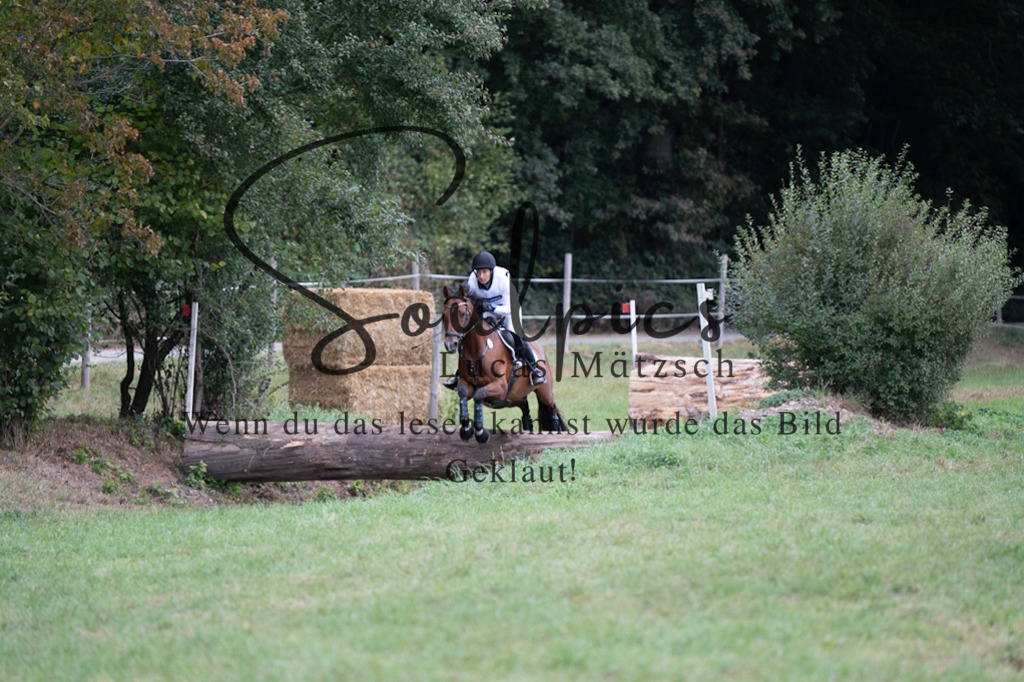 A7V00599 | Pferdefotograf