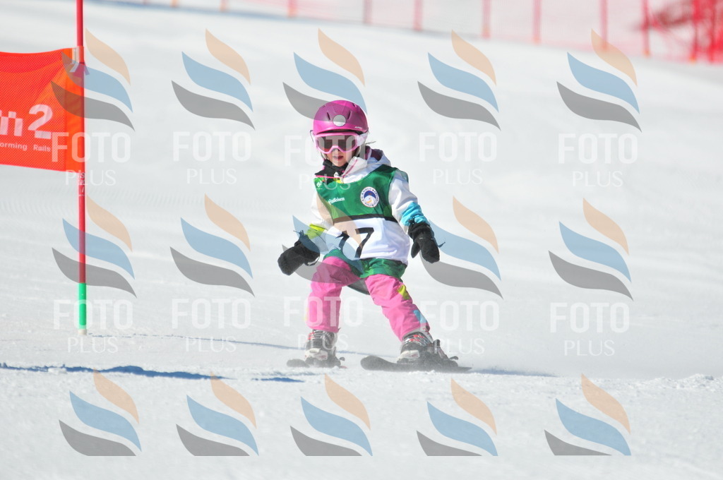 C1903 | holidayphoto