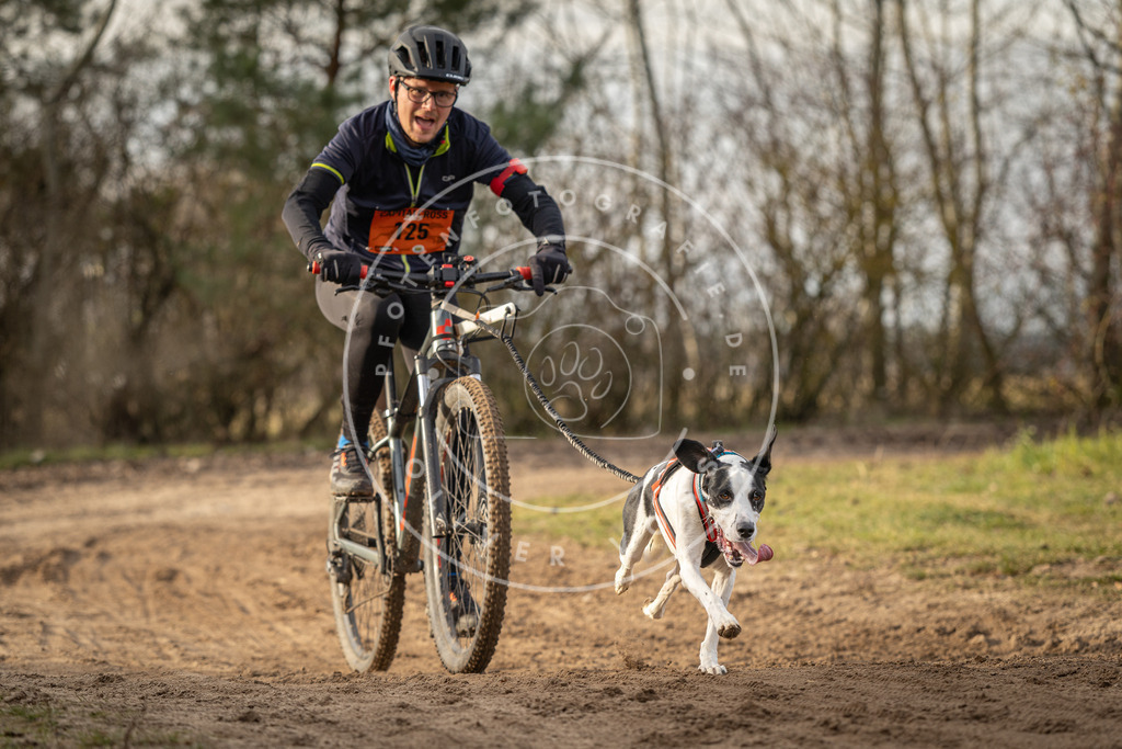 Pfotenfotografie_DV3A8649 | Hundefotografie, Tierfotograf, Pfotenfotografie, Fotoshooting Hund, Hunde Portrait, Hundesport, Hundeportraits, Heideshooting, Hunde, Sportfotograf, Hundefotograf, Turnierhundsport, THS,  - Realisiert mit Pictrs.com