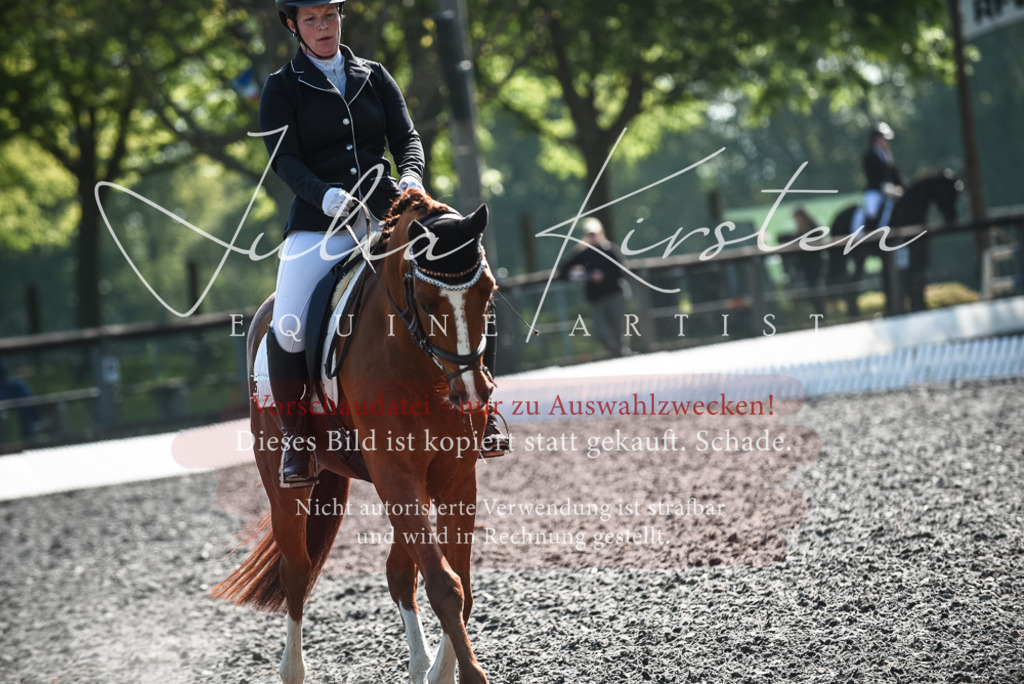 DSC_8748 | Pferde- und Turnierfotografie in Westsachsen. Pferdeportraits, Auftragszeichnungen und intuitive Kunst.