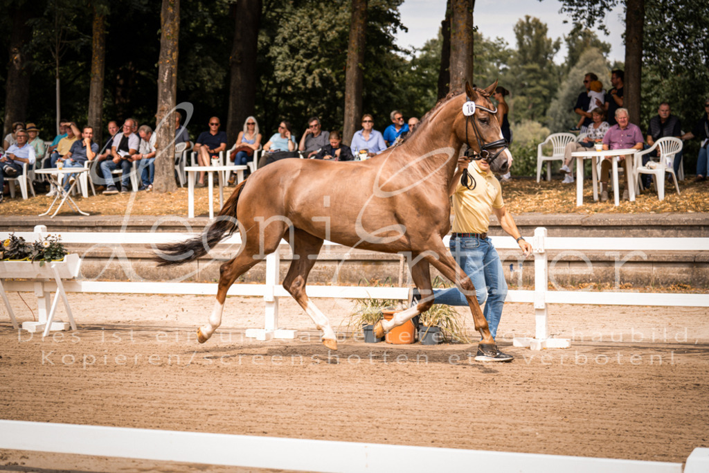 4.Fr00058 | Leoni Ertmer Photography - Realisiert mit Pictrs.com