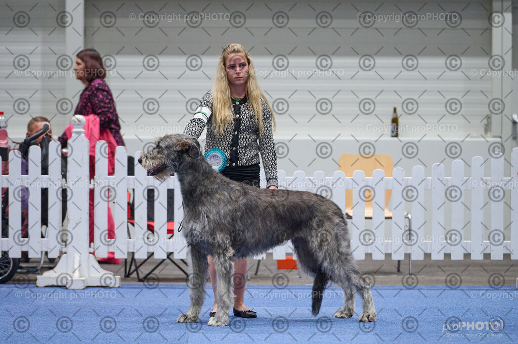 202406_ÖKV-IHA-Tulln24_DSC_3223 | proPHOTO - Realisiert mit Pictrs.com