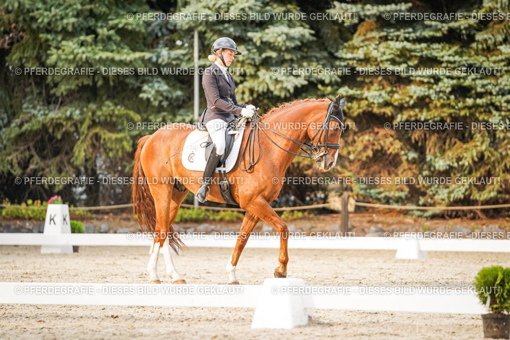 DSC09349 | Pferdegrafie