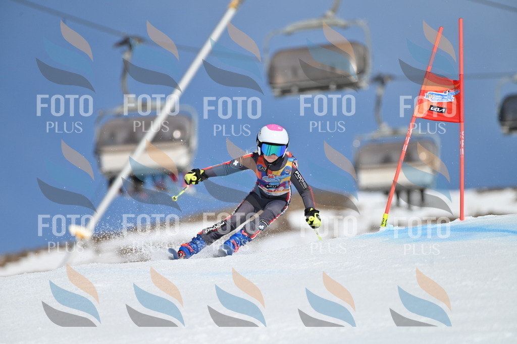 BGV_9171 | holidayphoto