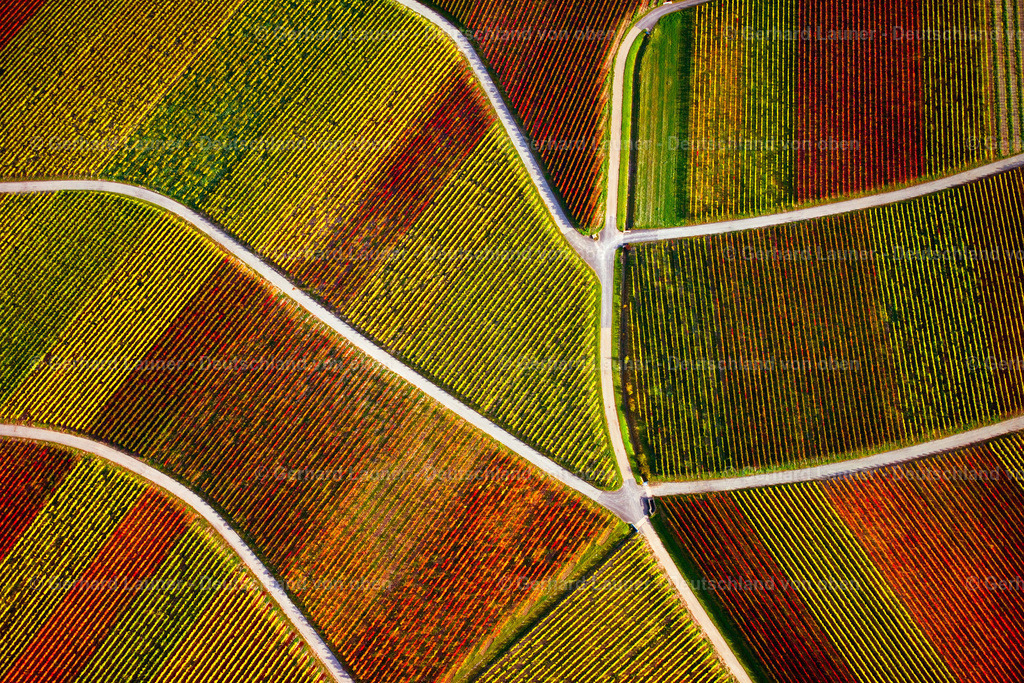 3294565_ | Weinbergstrukturen bei Castell