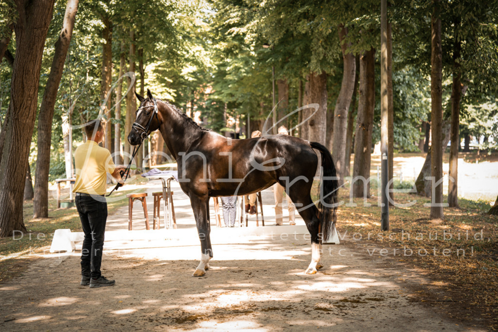 FrPfM00231 | Leoni Ertmer Photography - Realisiert mit Pictrs.com