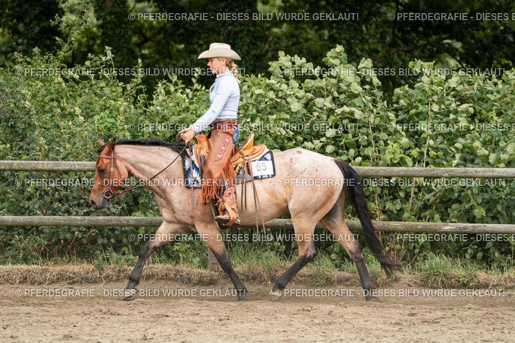 DSC04198 | Pferdegrafie