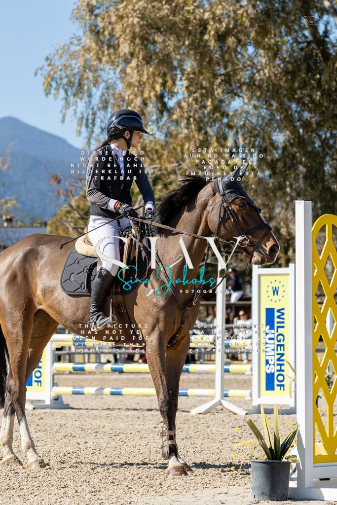 IMG_0678 | s-jay-photography - Realisiert mit Pictrs.com