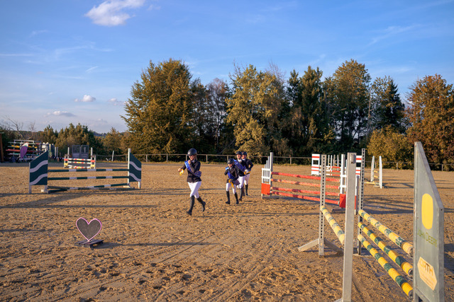 NZF_9081 | Professionelle Reitsport-, Turnier- und Eventfotografie von Robert Broda. Galerien mit ausgewählten und bearbeiteten Bildern direkt online ansehen und bestellen.
