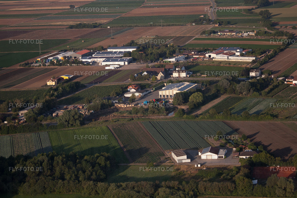 Hof im Fallgarten mit Sahler GdbR Frischgemüse | Luftbild: Hof im Fallgarten mit Sahler GdbR Frischgemüse im Ortsteil Dannstadt in Dannstadt-Schauernheim im Bundesland Rheinland-Pfalz in Deutschland. Foto: IMG_69551.jpg vom 04.07.2014 durch Werner Riehm/FLY-FOTO.de - Realisiert mit Pictrs.com