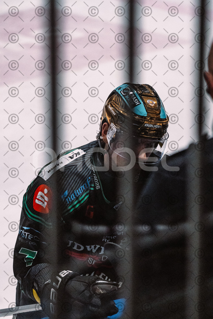 Alligators_vs_Passau_26_12_2025-032 | Höchstadt Alligators Fotogalerie: Eishockey-Action aus Franken. Professionelle Spielfotos, Portraits & Stadionbilder zum Download. Jetzt entdecken! - Realisiert mit Pictrs.com