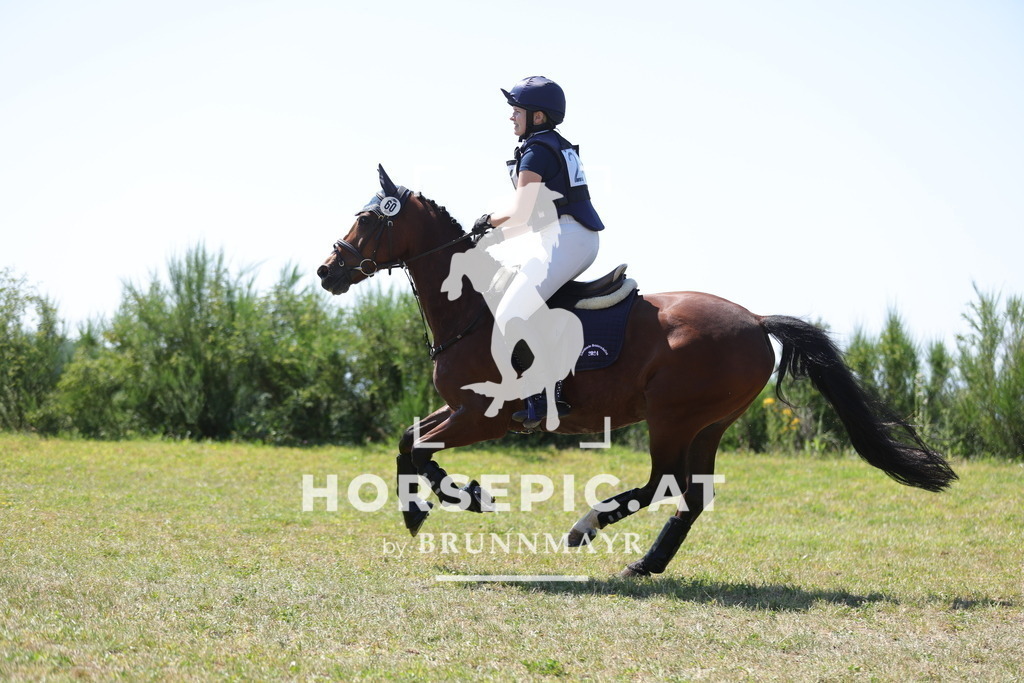 0P6A3498 | Willkommen bei Brunnmayr - Design & Fotografie – Ihrem Spezialisten für Reitturniere und Pferdeveranstaltungen in Oberösterreich, Salzburg und Bayern! Seit über 17 Jahren sind wir leidenschaftlich dabei.
