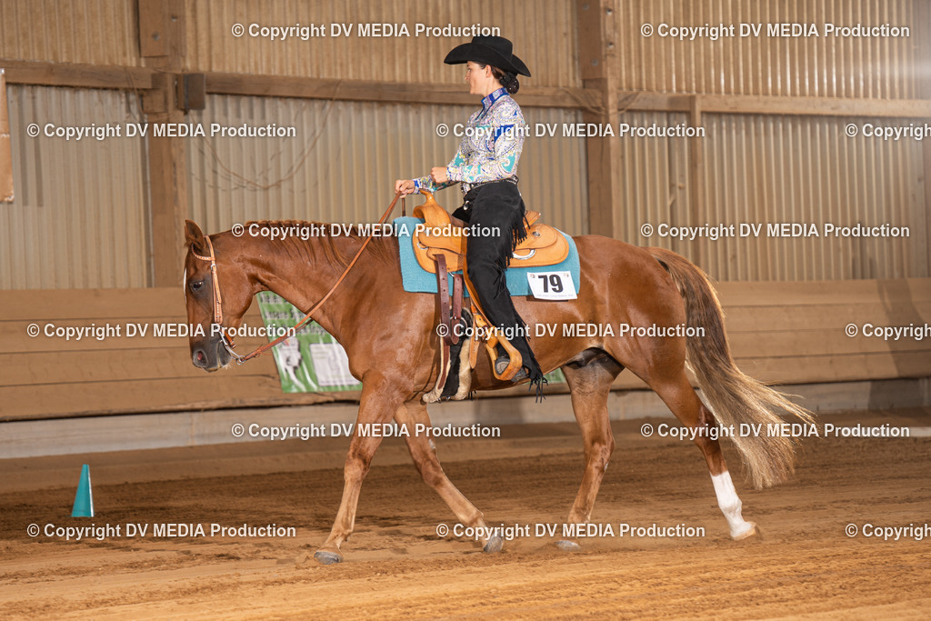 NID00378 | dv-media-shop - Realisiert mit Pictrs.com