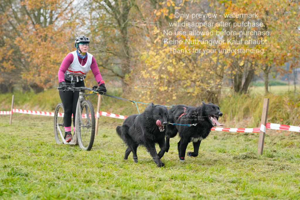 Visbeck_Sa_DS2DR2-149 | stephaniefillaphotographie - Realisiert mit Pictrs.com