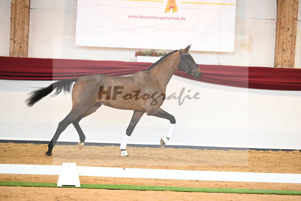 Kat-Nr. 10 v. Bonds_Klenk u Schneider-Gaertner_66221732 | hf-fotografie - Realisiert mit Pictrs.com