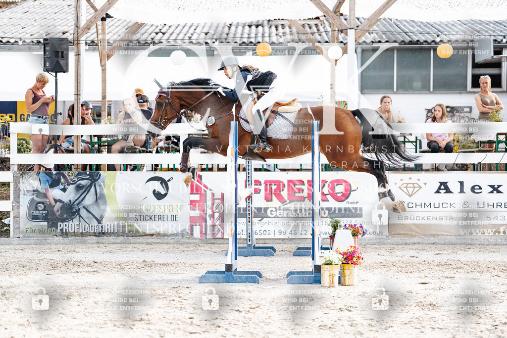CK906878 | Turnierfotografie Pferdefotografie Trier Rheinland-Pfalz Pferdesport Reitsport Tierfotografie Sportfotografie Pferdevideo Pferdevideografie Equestrianvideography equestrianphotography  - Realisiert mit Pictrs.com