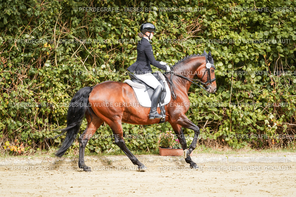 DSC02035 | Pferdegrafie