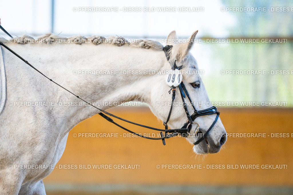 DSC07029 | Pferdegrafie