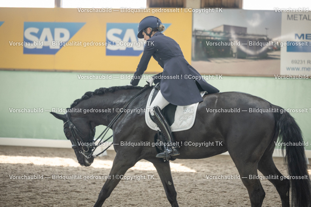 _D5A1169 | Emotionale Pferde- & People-Fotografie rund um Heidelberg, Leimen & Umgebung. Natürliche Fotos von Pferd, Mensch & Familie. Jetzt Termin sichern!