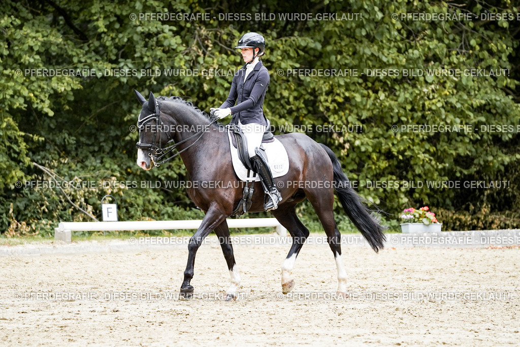 DSC06001 | Pferdegrafie