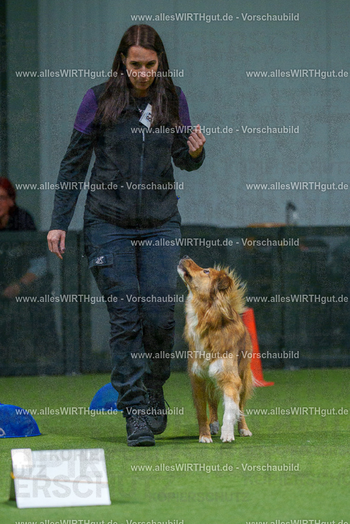 7R507718 | Professionelle Tierfotografie in Mönchengladbach von Daniel Wirth (allesWIRTHgut). Liebevolle & natürliche Bilder von Hunden & Katzen für unvergessliche Erinnerungen.