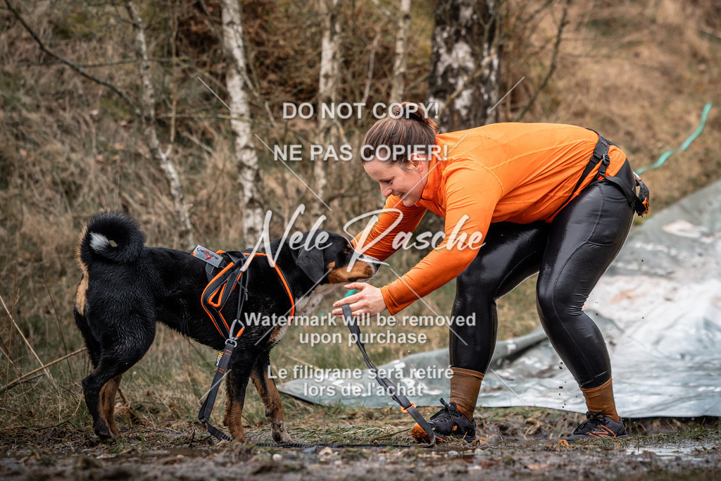 nelerasche_1330-1400_10 | nelerasche