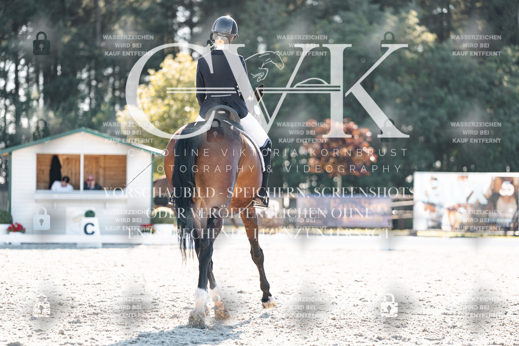 CK906443 | Turnierfotografie Pferdefotografie Trier Rheinland-Pfalz Pferdesport Reitsport Tierfotografie Sportfotografie Pferdevideo Pferdevideografie Equestrianvideography equestrianphotography  - Realisiert mit Pictrs.com