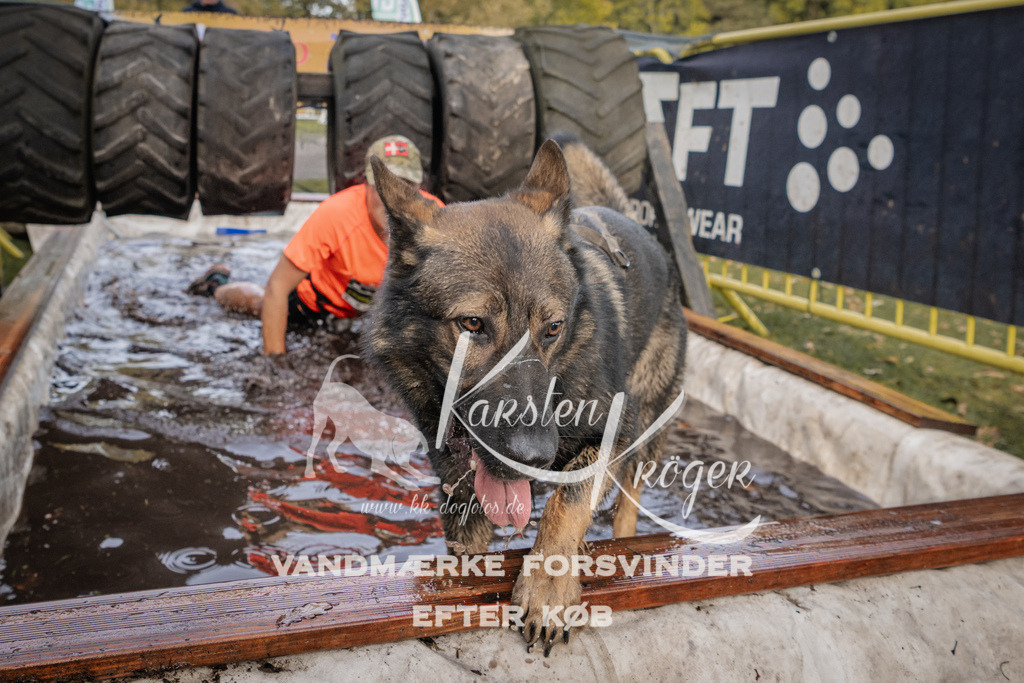 1450_ZZ90400 | kk-dogfotos