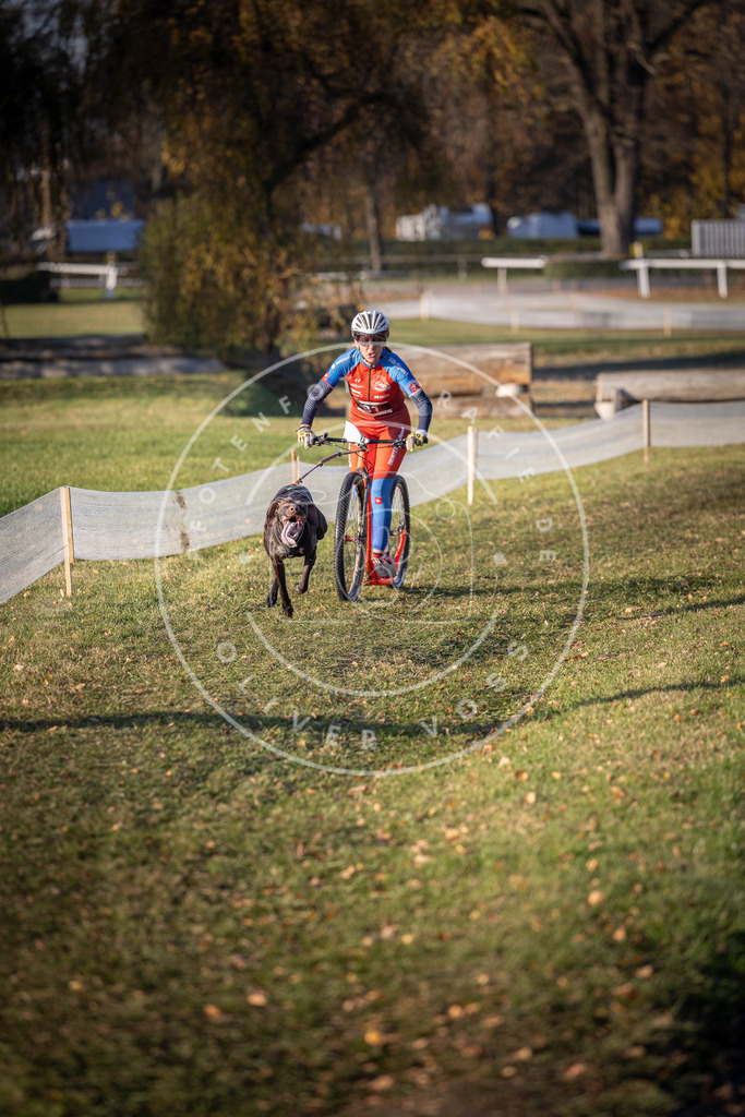 CaniXpix_DV3A1541 | Hundefotografie, Tierfotograf, Pfotenfotografie, Fotoshooting Hund, Hunde Portrait, Hundesport, Hundeportraits, Heideshooting, Hunde, Sportfotograf, Hundefotograf, Turnierhundsport, THS,  - Realisiert mit Pictrs.com