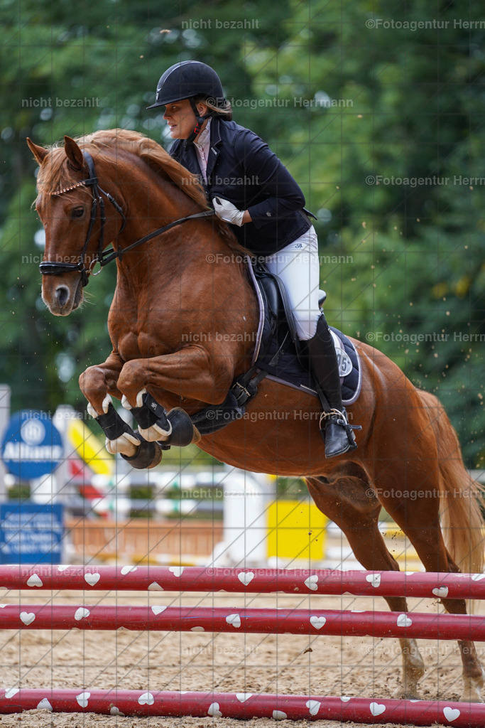 20231008-SN_01634 | Diessen am Ammersee, 2023, Dressur- und Springturnier, Reitsport, Turnierfotografie, Pferdebilder, Reitbilder, Turnierfotografen Bayern, Fotoagentur Herrmann