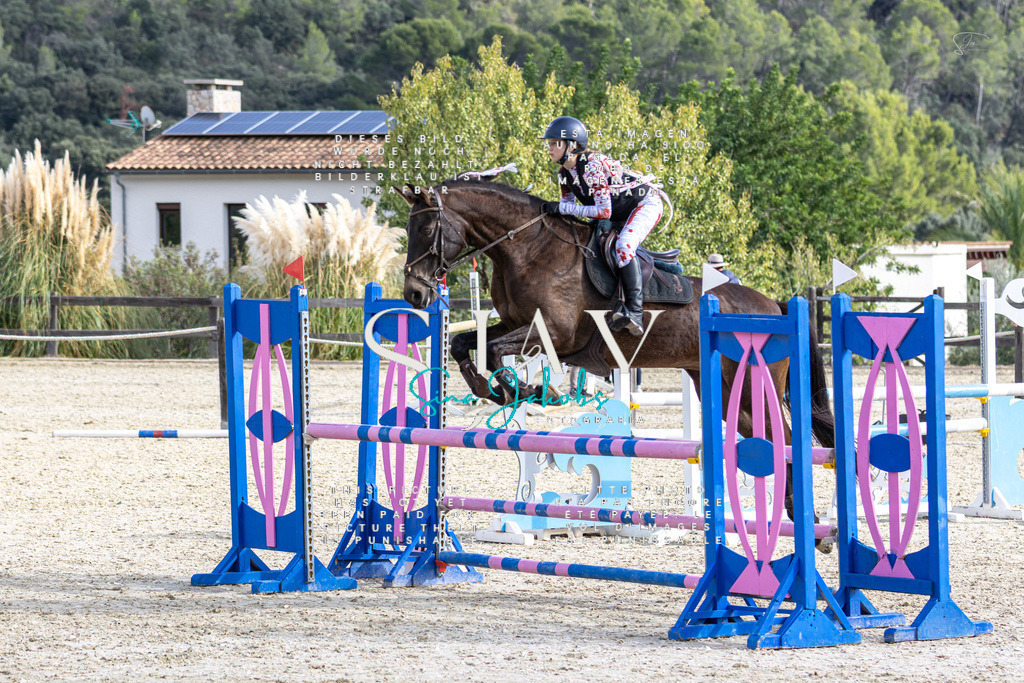 IMG_3487 | s-jay-photography - Realisiert mit Pictrs.com