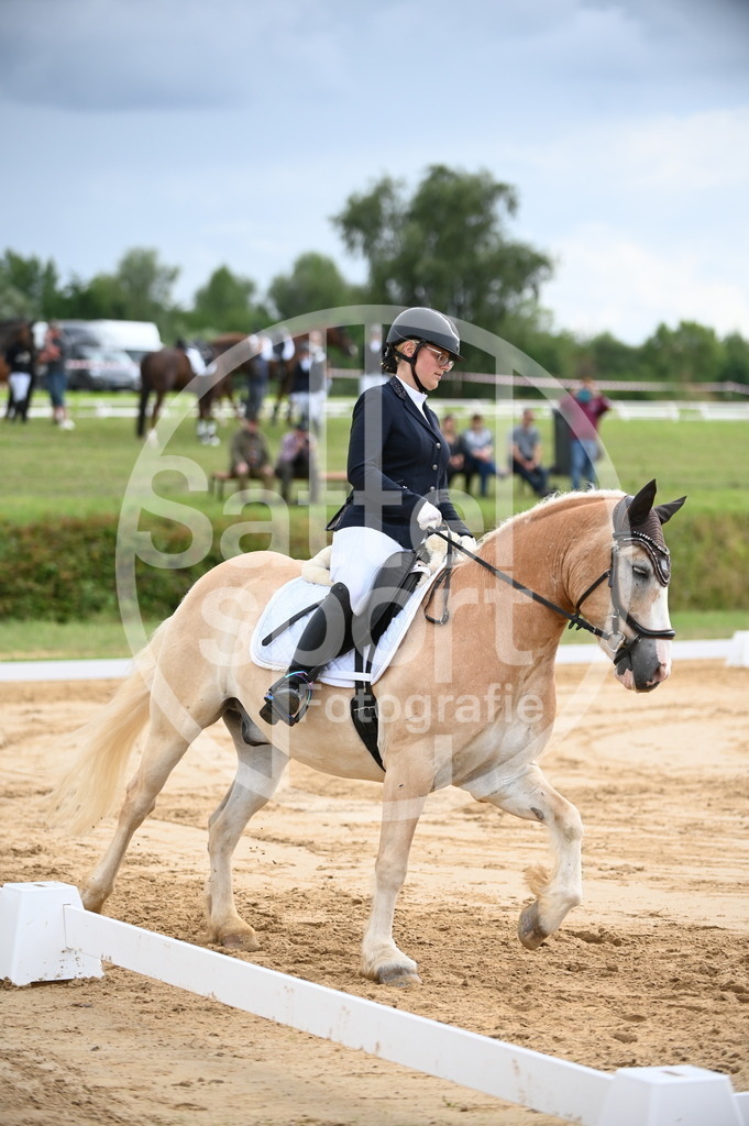 DSC_7404 | sattelsport - Realisiert mit Pictrs.com