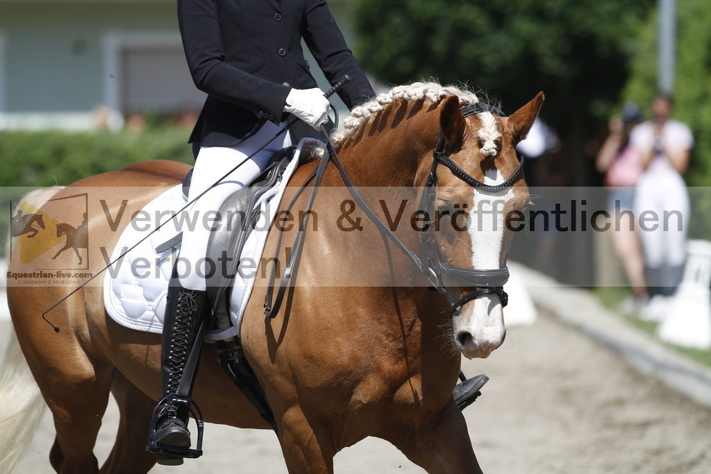 _MG_4141 | equestrian-live-com