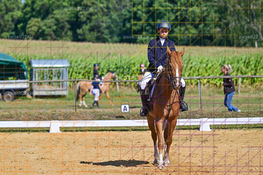 30 Jahre RFV Pulsnitz e.V., Pulsnitz am 09.08.2026 | Zur 28. breitensportlichen Veranstaltung des RFV Pulsnitz e.V. fanden verschiedene Wettbewerbe in nahezu allen Disziplinen des Pferdesport statt. - 04. Großer Dressur-Wettbewerb - Realisiert mit Pictrs.com