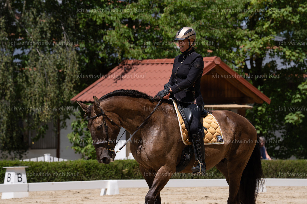 WS_DR_60_sinafilmart_IN02611 | working equitationturnier fotograf videograf stoibphotography marixx film working equitation deutschland reitsport turnierfotografie eventfotografie equestrian events