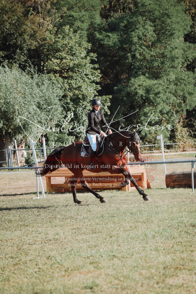 DSC_5194 | Pferde- und Turnierfotografie in Westsachsen. Pferdeportraits, Auftragszeichnungen und intuitive Kunst.