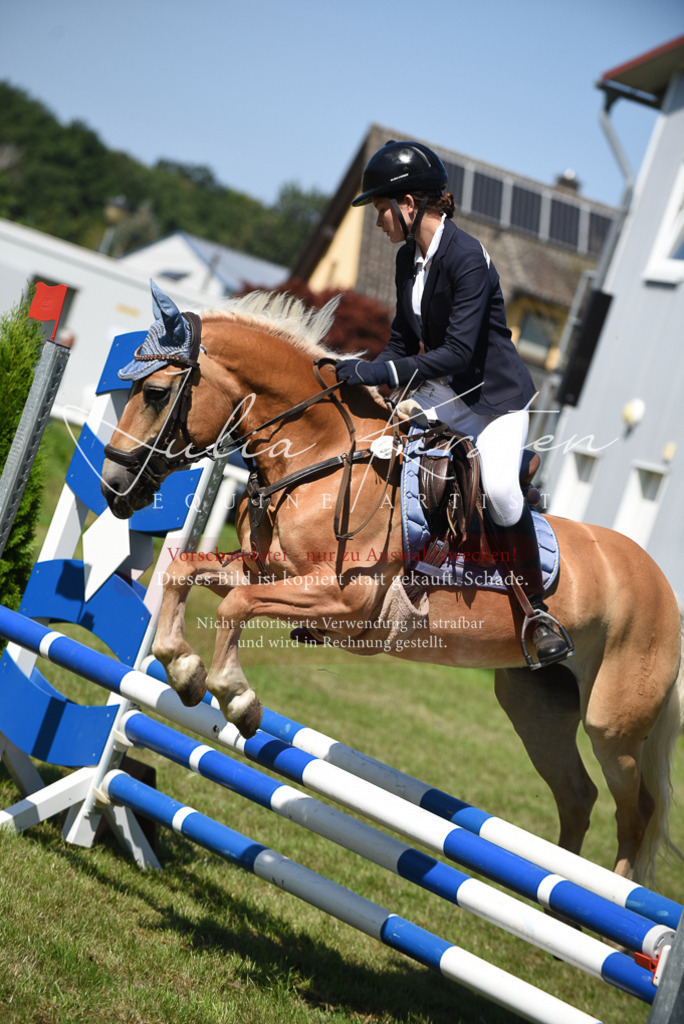 DSC_9622 | Pferde- und Turnierfotografie in Westsachsen. Pferdeportraits, Auftragszeichnungen und intuitive Kunst.