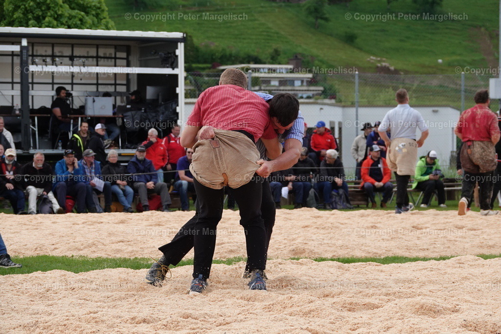 DSC00630 | Schwingen - Realisiert mit Pictrs.com