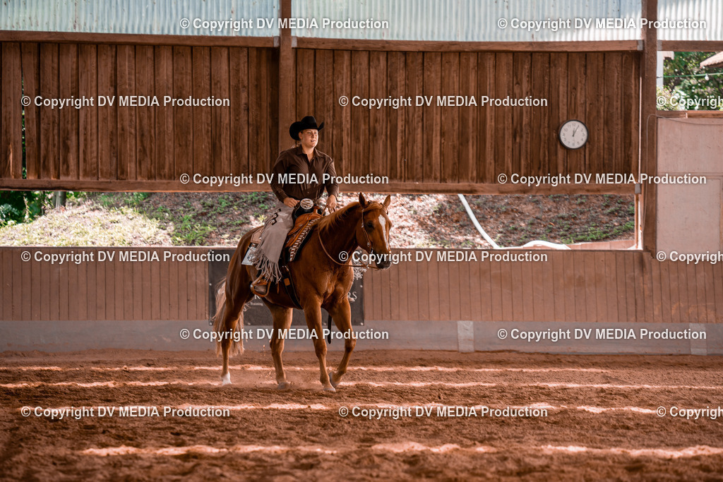 NE100604 | dv-media-shop - Realisiert mit Pictrs.com