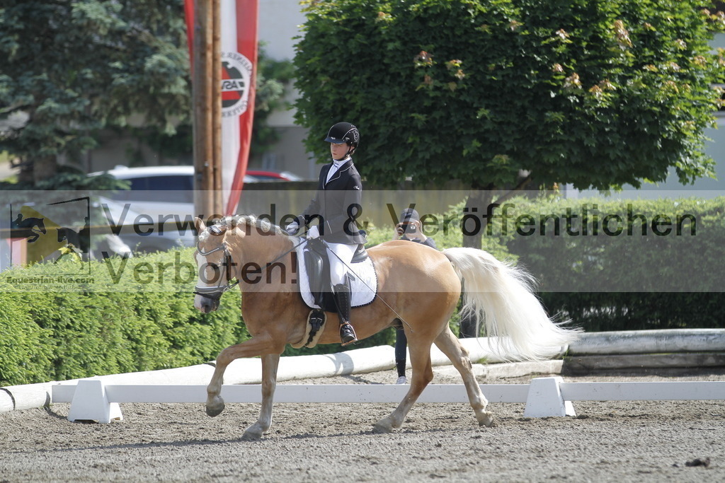 _MG_9489 | equestrian-live-com