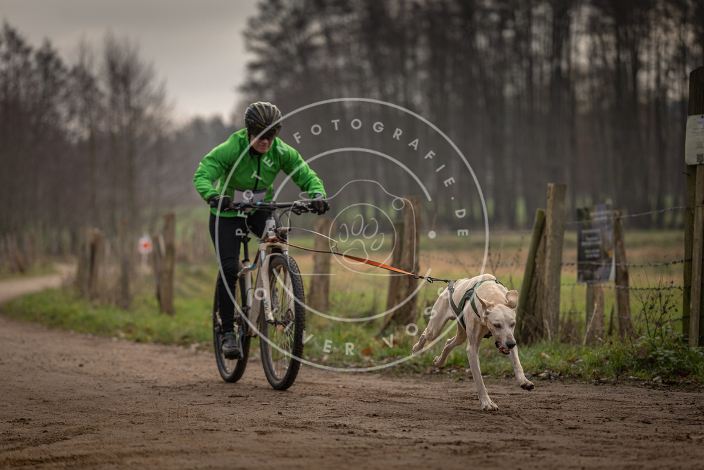 Pfotenfotografie_DV3A1665 | Hundefotografie, Tierfotograf, Pfotenfotografie, Fotoshooting Hund, Hunde Portrait, Hundesport, Hundeportraits, Heideshooting, Hunde, Sportfotograf, Hundefotograf, Turnierhundsport, THS,  - Realisiert mit Pictrs.com