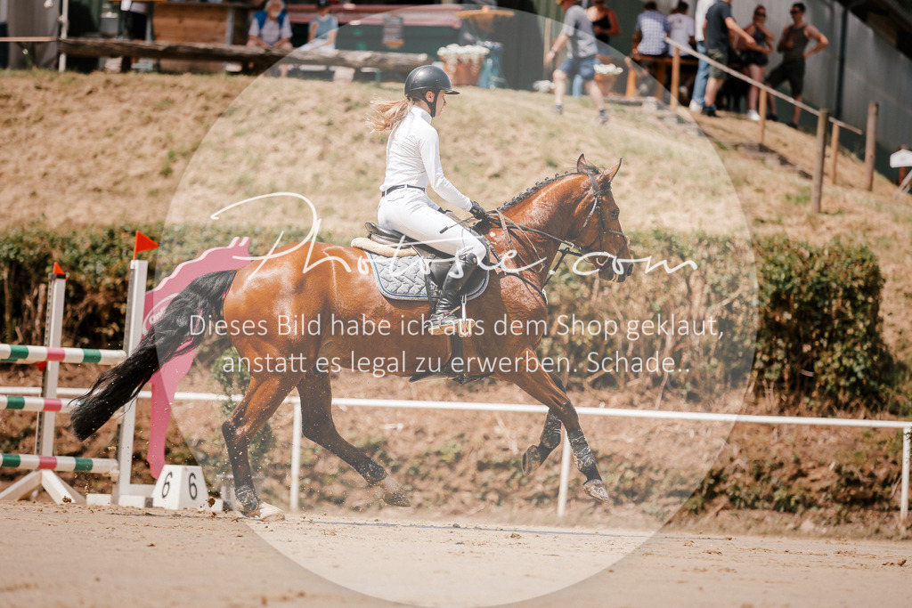 3I6A7744 | Stimmungsvolle Portraits und Reitsportfotografie im Ruhrgebiet und im Münsterland.

Pferdefotografie, Hundefotografie, Tierfotografie, Reportagen, Portraits von Tier und Mensch, Turnierfotografie in Bochum, Recklinghausen, Marl, Haltern am See, Dülmen.. - Realisiert mit Pictrs.com