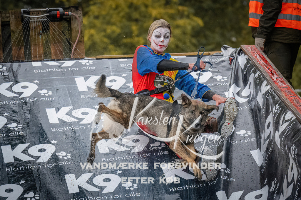 1051_ZZ91019 | kk-dogfotos