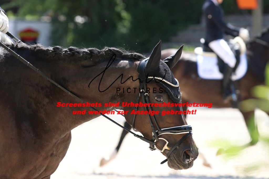 IMG_5099 | lmwpictures - Realisiert mit Pictrs.com