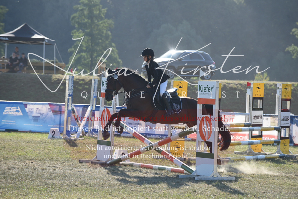 DSC_5581 | Pferde- und Turnierfotografie in Westsachsen. Pferdeportraits, Auftragszeichnungen und intuitive Kunst.