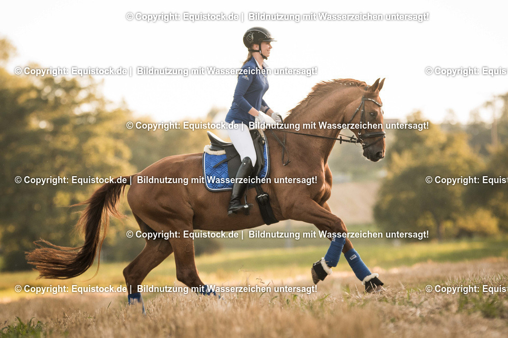 TS_20170814_Stoppelfeld_Reiten_0007 | Foto: Thomas Hartig