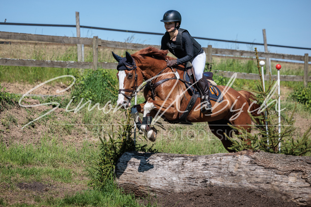 20260523-_3LI7319 | Tierfotografie Pferde, Hunde, Katzen, Haustiere.
Turnierfotografie Reitturniere, Reiten, Springreiten, Dressur in Hanau, dem Main-Kinzig-Kreis und dem Rhein-Main- Gebiet um Frankfurt