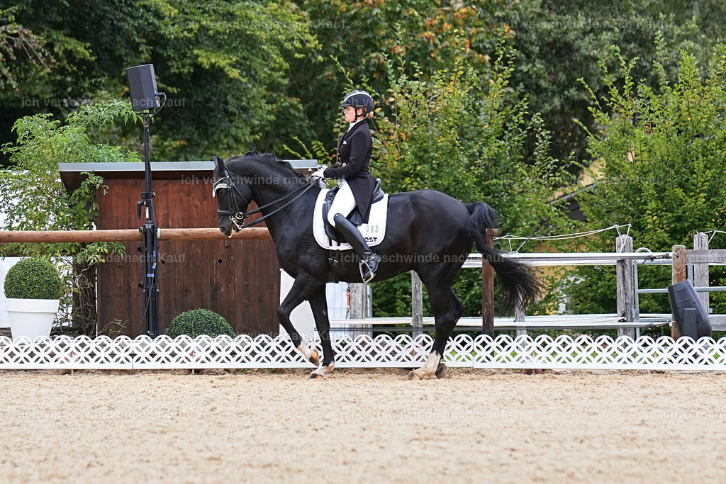 11-093-Dressur S___-Marixx-1556 | working equitationturnier fotograf videograf stoibphotography marixx film working equitation deutschland reitsport turnierfotografie eventfotografie equestrian events