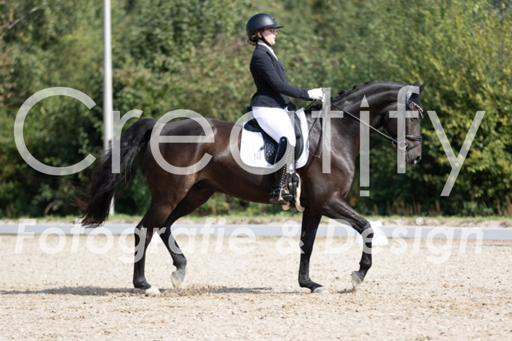 IMG_3339 | Creatify Fotografie